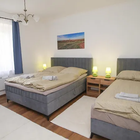 Apartment Tulipan Vendeghaz *